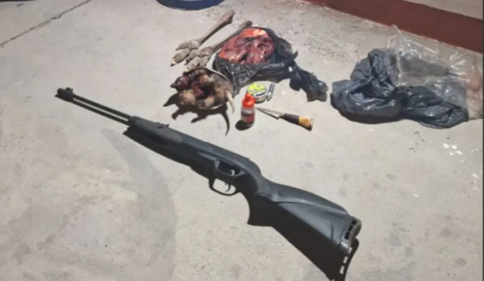 Transitaba con una carga Ilegal de Fauna Silvestre y le secuestraron el vehículo 