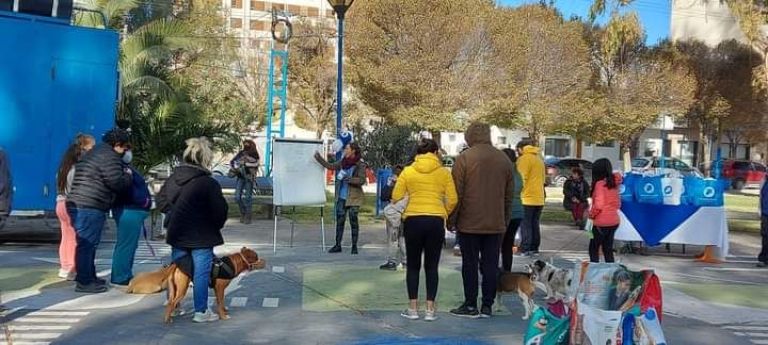 Campaña de Desparasitación y Vacunación Antirrábica en Roca: ¿cuándo y dónde será?