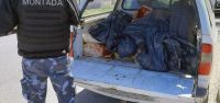 Incautaron 700 kilos de carne en mal estado de comercios