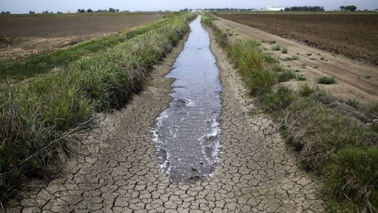 Prorrogan la emergencia agropecuaria en Río Negro por la sequía