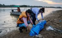 Dramático aumento de temperatura en la amazonía causa la muerte de cientos de delfines rosados 