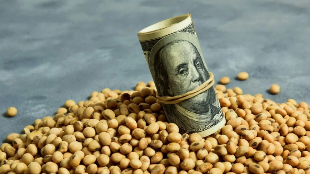 Oficializaron la extensión del “dólar soja” hasta el 25 de octubre