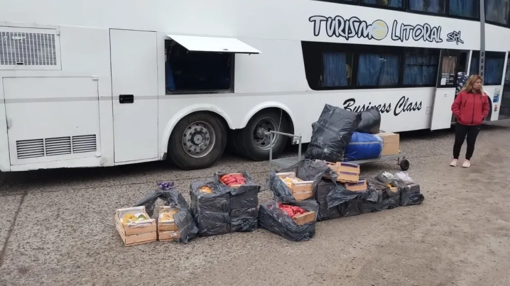 Regresaban a Villa Regina con frutas y hortalizas hospederas de Mosca de los frutos
