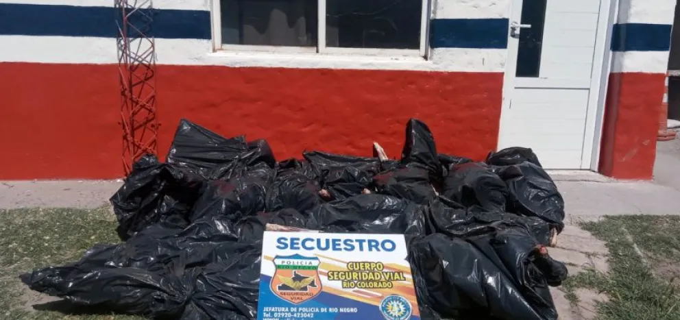 Secuestran once corderos faenados que eran ingresados a la región ilegalmente