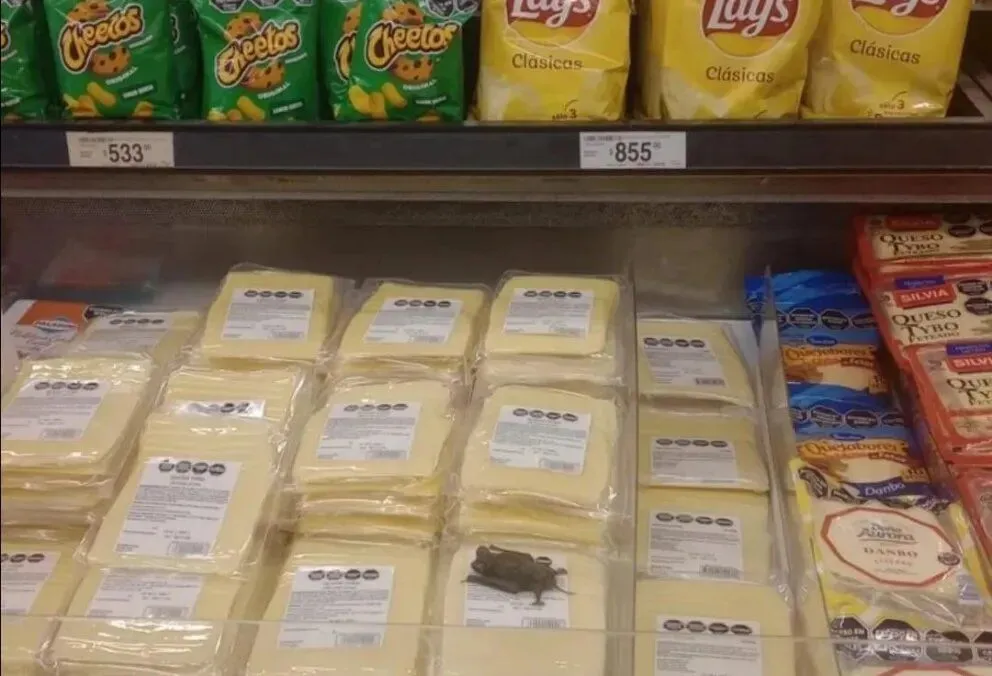 Fue al super y encontró una desagradable sorpresa: ¡un murciélago muerto sobre los quesos!
