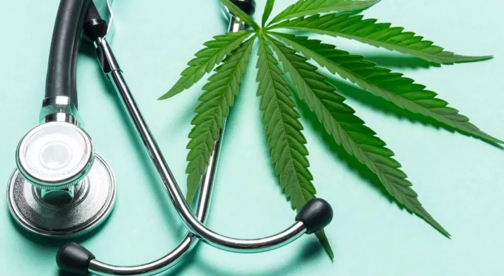 Avanza el proyecto de cannabis medicinal del INTA en el Alto Valle