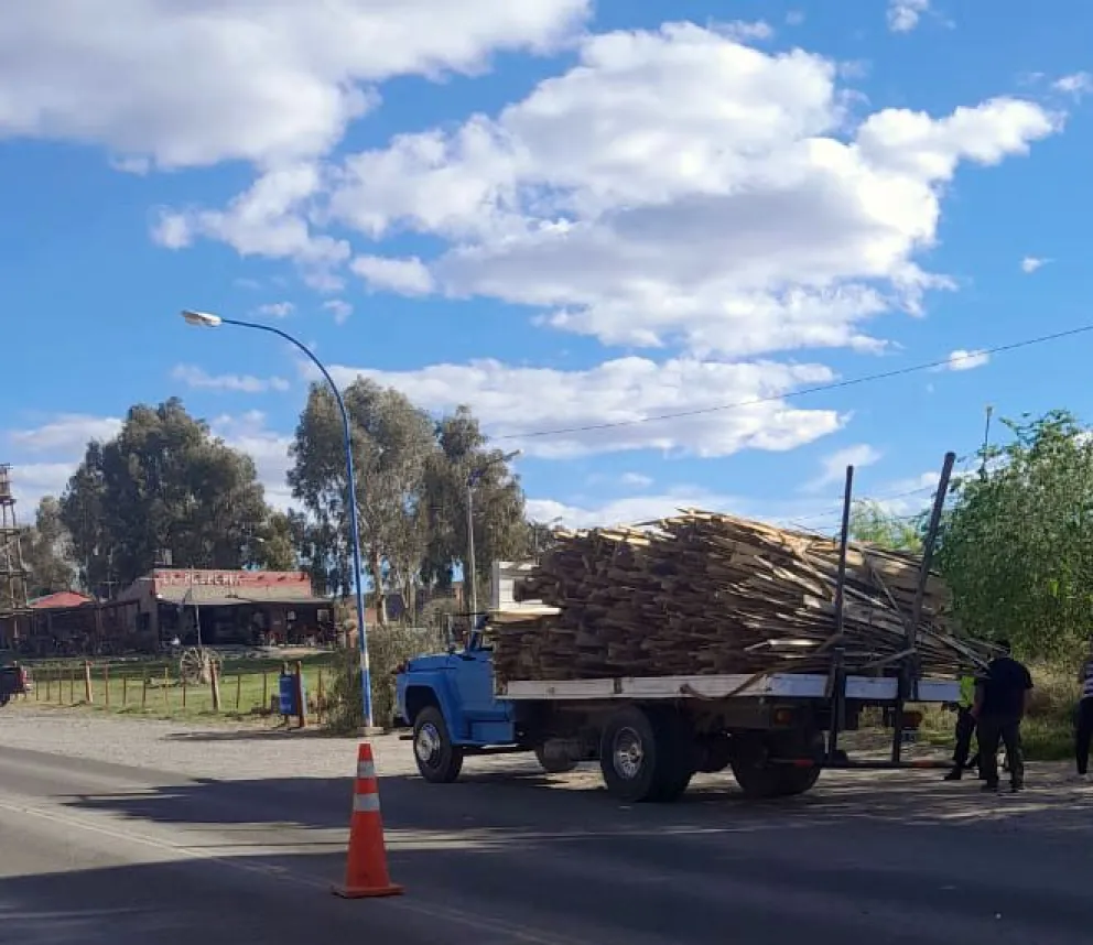 Decomisan 2.5 toneladas de madera que tenía como destino a Roca