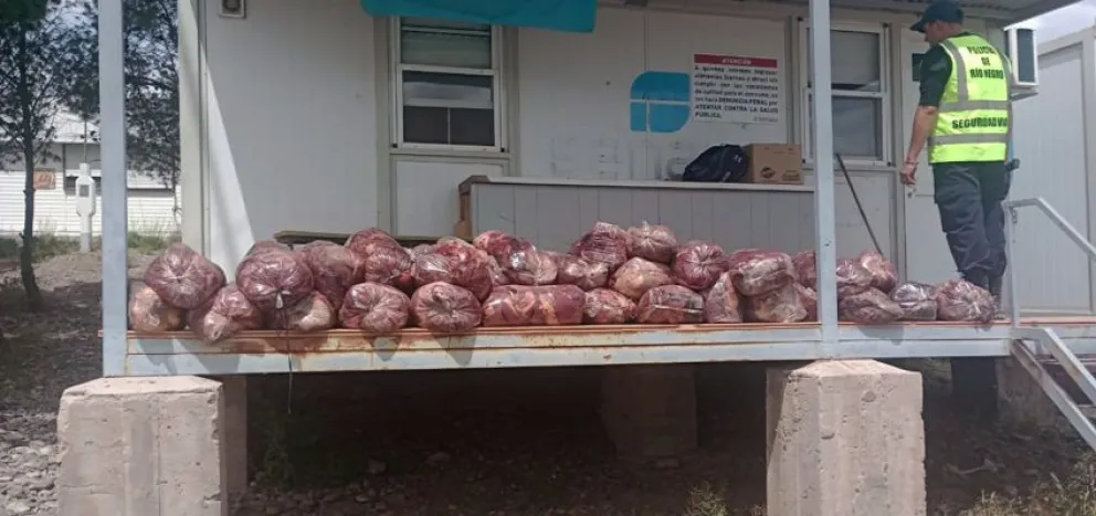 Decomisan 450 kilos de carne en que eran transportados ilegalmente en una camioneta