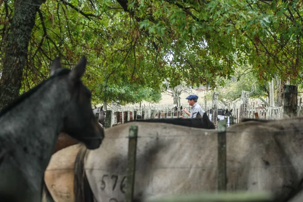 Investigan el caso de un joven que murió tras caer de un caballo