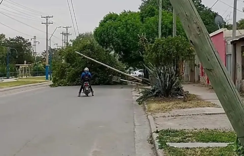 El temporal dejó destrozos y cortes de luz ¿Dónde se trabaja y a que hora vuelve el servicio?