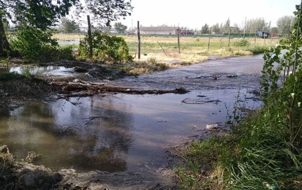 Desbordó un canal de riego en Stefenelli e inundó viviendas 