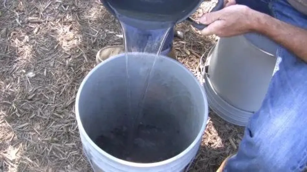 Familias de barrio Nuevo sufren la falta de agua desde antes de las fiestas