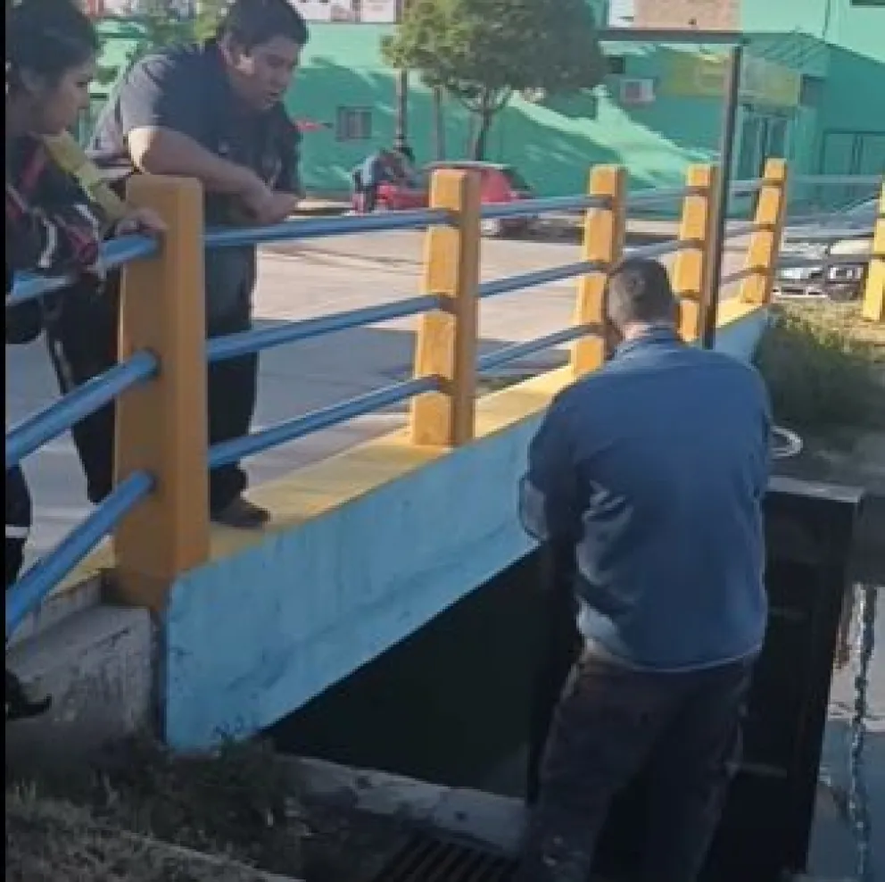 Trágico desenlace: encontraron a Hilacha, el perrito arrastrado por las aguas del Canalito