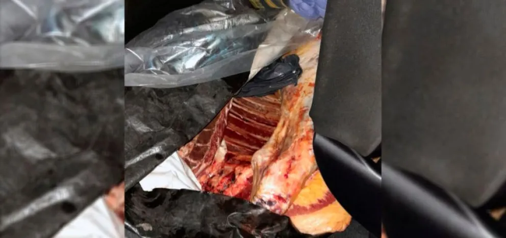 Secuestran más de 200 kilos de carne que eran transportados sin autorización