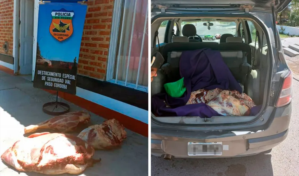 Decomisan carne vacuna con destino a Roca sin medidas sanitarias en un control vehicular
