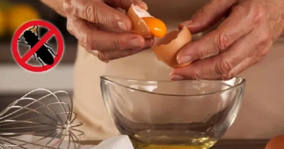 Adiós a las plagas: el sorprendente truco con claras de huevo