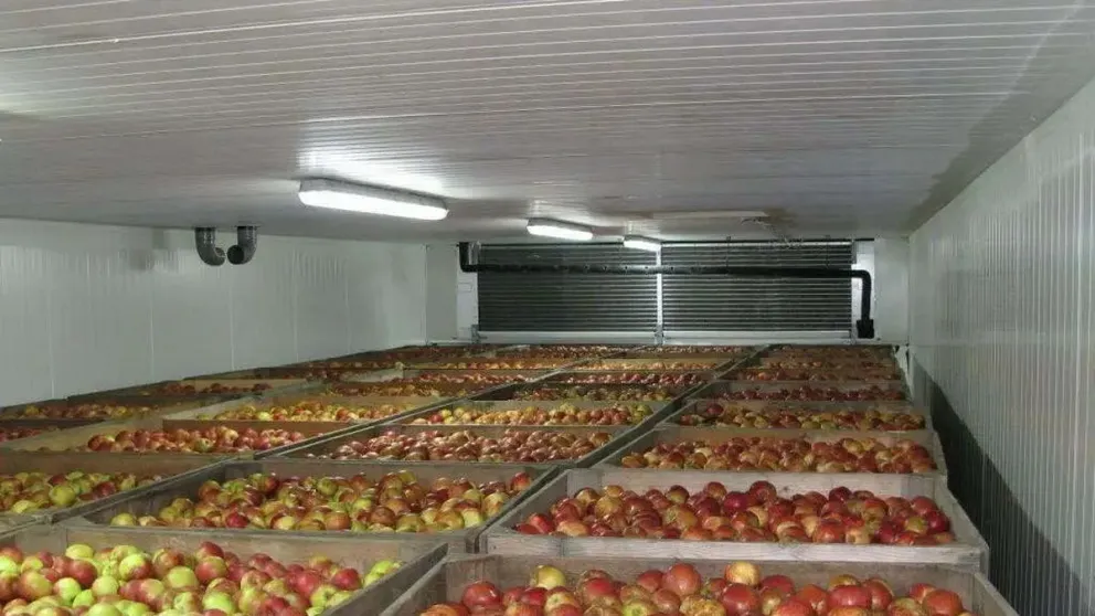 Beneficios eléctricos para más de 2000 productores en emergencia agropecuaria en Río Negro