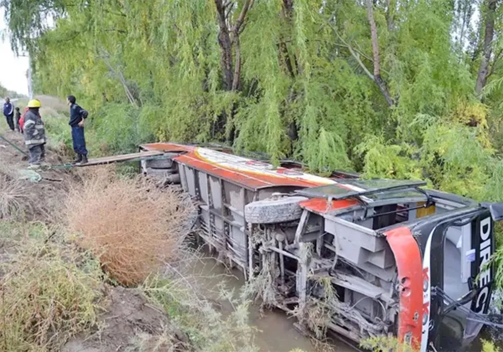 Pasajera roquense que sobrevivió al vuelco de un colectivo KoKo en la Ruta 22 será indemnizada