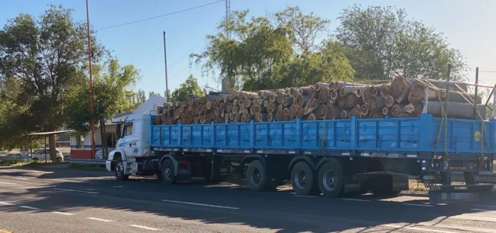 Decomisan 40 toneladas de leña que eran transportadas de manera ilegal