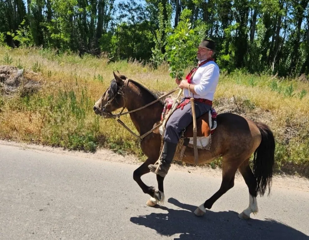 Caballo electrocutado en Guerrico: “Por negligencia falleció mi compañero de tantas leguas”