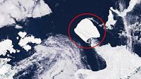 El gigante de hielo despierta: el iceberg más grande del mundo se desplaza velozmente