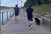 VIDEO: Rescataron a un perro del Canal Grande 