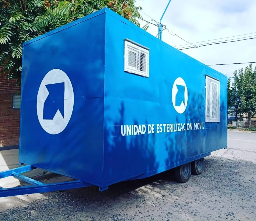 Refuerzan las castraciones de perros y gatos en barrio Nuevo