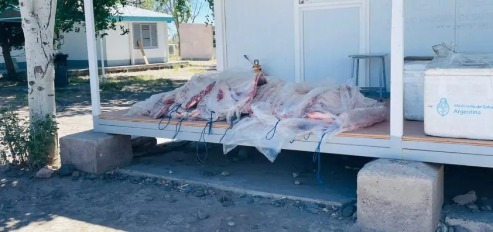 Secuestran más de 500 kilos de carne y productos lácteos que eran transportados ilegalmente