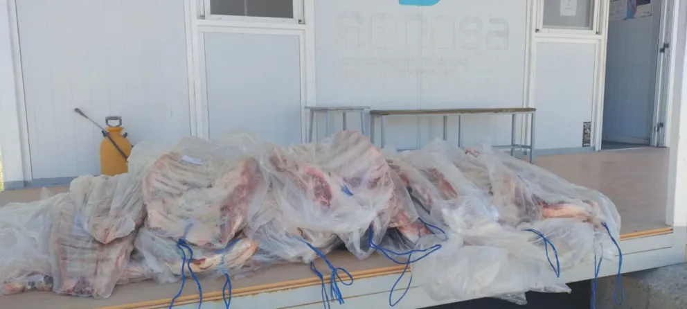 Decomisan más de media tonelada de carne en la Barrera Sanitaria