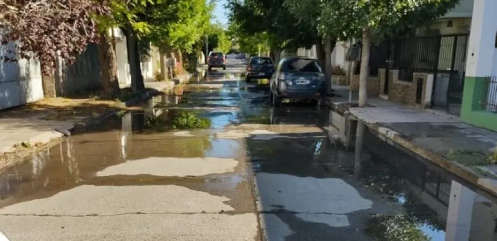 Situación crítica en Roca: Realizaron más de 20 actas por desbordes de agua e infracciones en la vía publica