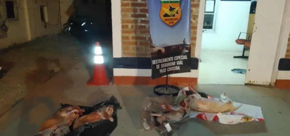 No llegaron a las Fiestas: secuestran cuatro corderos faenados en Paso Córdoba