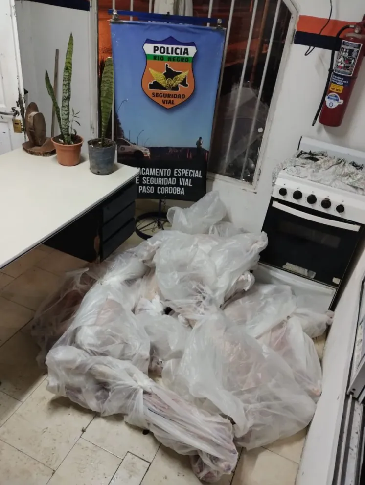 Sin corderos para las fiestas: Lo atraparon con 14 animales faenados