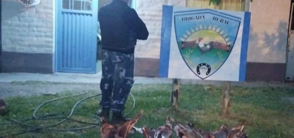 Más carne que no llegó al asador: decomisan cinco corderos faenados en Roca
