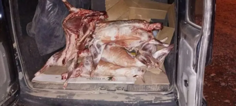 Otra vez: Decomisaron carne faenada que era transportada sin las medidas sanitarias adecuadas