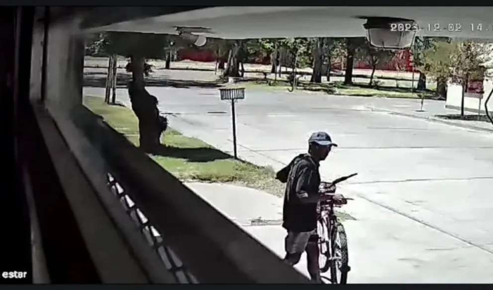 Aumentan los robos en la región: fue captado por las cámaras de seguridad cuando asaltaba un comercio