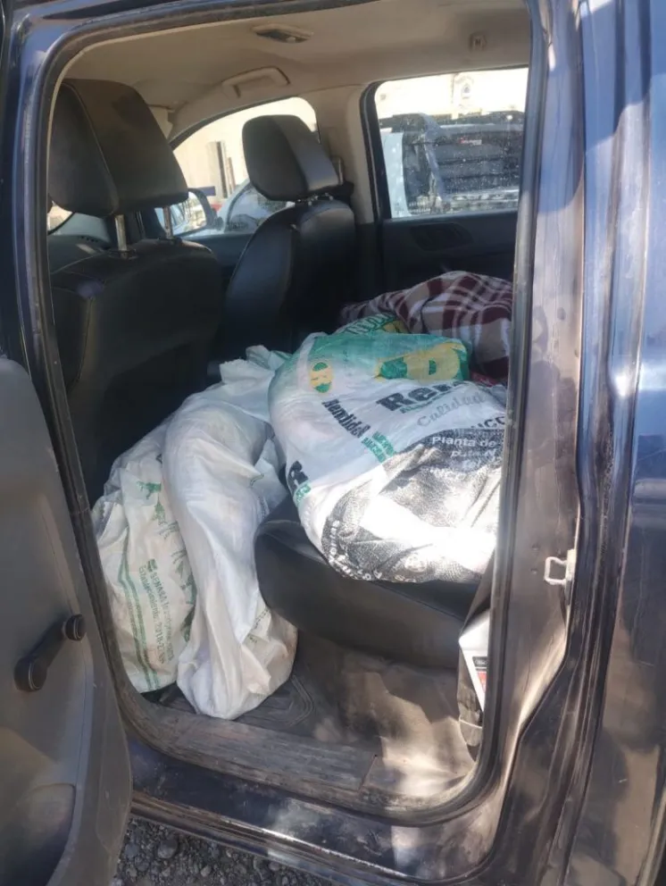Más decomisos en el Alto Valle: secuestran distintos tipos de carne en dos procedimientos