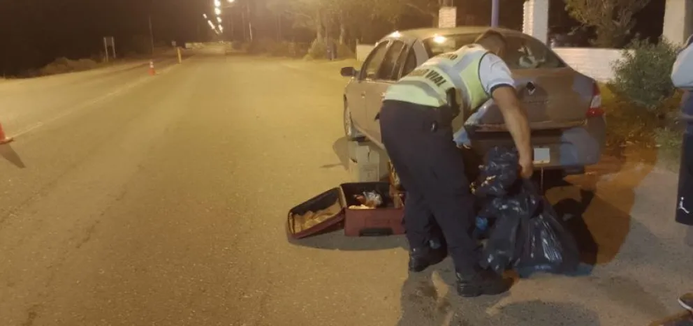 Paso Córdoba: secuestran e incineran otros dos corderos que eran transportados ilegalmente 