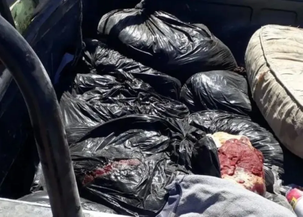Transportaba carne ilegalmente y tras una persecución fue baleado por un policía