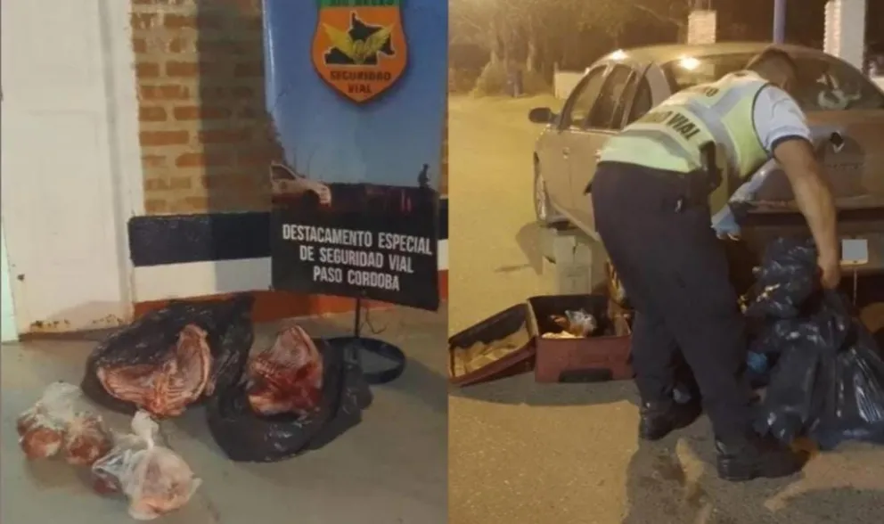 Decomisan dos corderos y carne de vaca que era transportada en una valija en Paso Córdoba