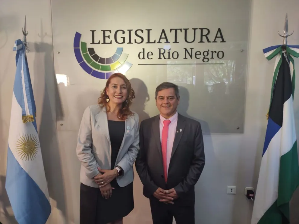 Los legisladores de la UCR se sumaron a la renuncia del aguinaldo 