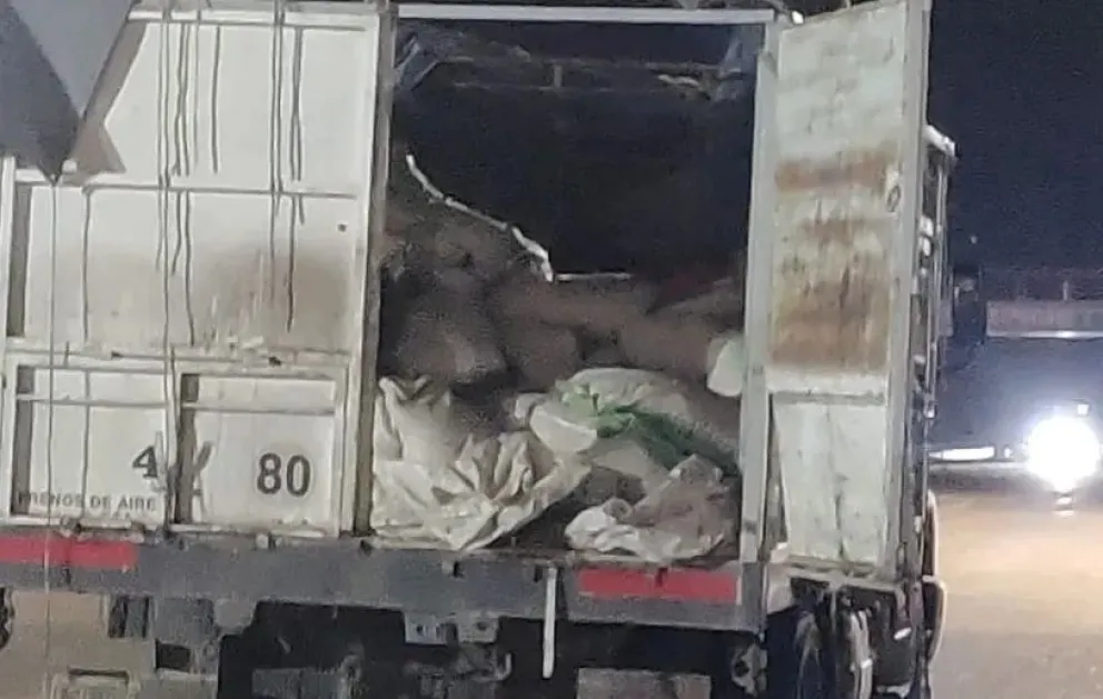 Camufló 300 kilos de carne entre semillas y fue detenido en Ruta 22