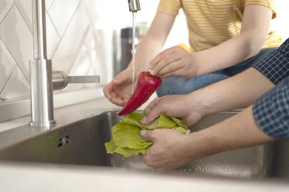 Fiestas de fin de año y calor: recomendaciones para la manipulación de alimentos