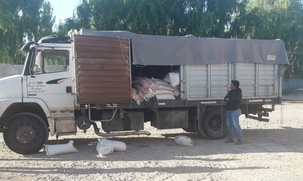 Decomisaron más de 3 toneladas de carne en el Alto Valle 
