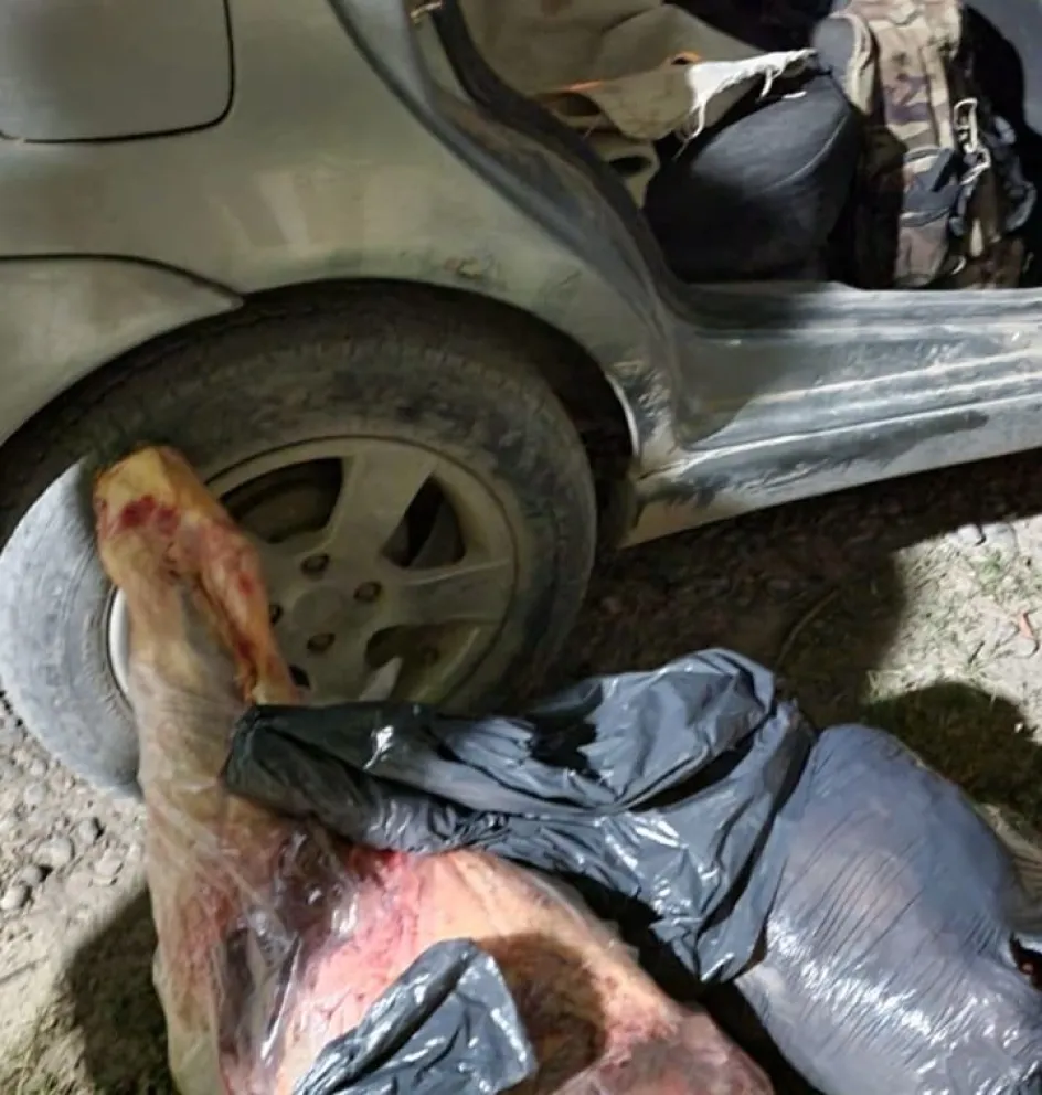 Más decomisos en la región: llevaba carne en bolsas de nylon y lo descubrieron 