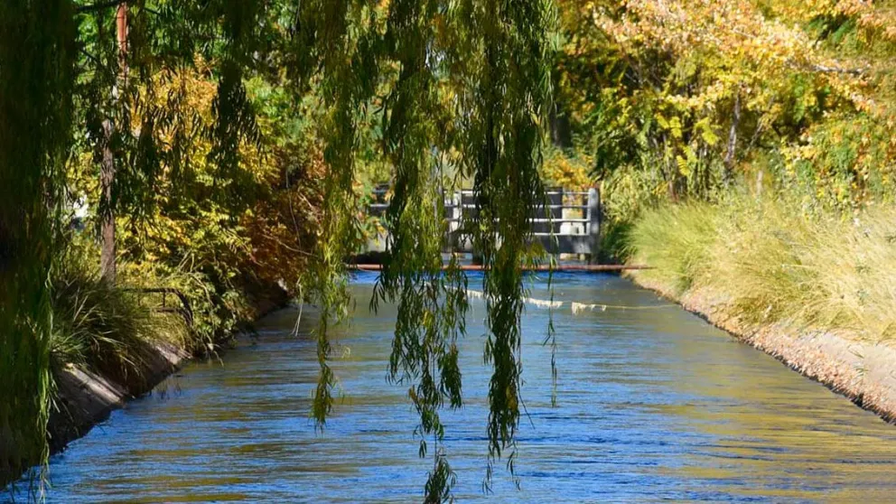 Multaron por cuatrocientos mil pesos a una empresa del Alto Valle por contaminar un canal de riego