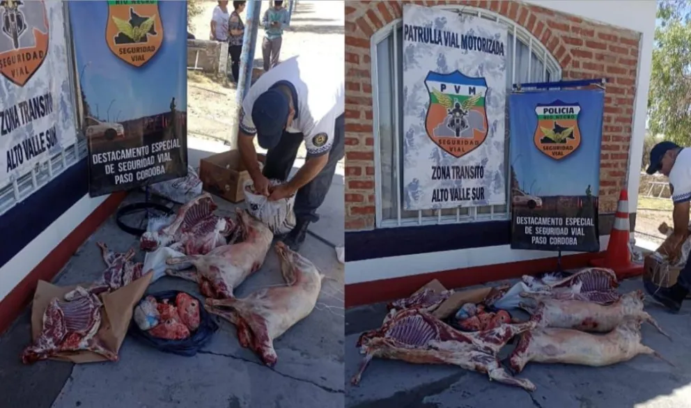 Realizaron cuatro decomisos de carne en Paso Córdoba