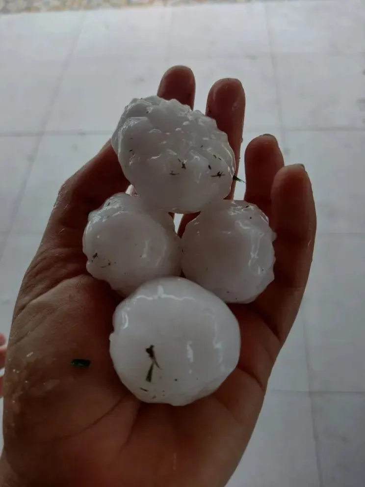 La sentencia considera que la conducta de la empresa  que adhirió al fondo por daños de granizo, tanto el incumplimiento del pago como el silencio procesal, era condenable. Foto (archivo)