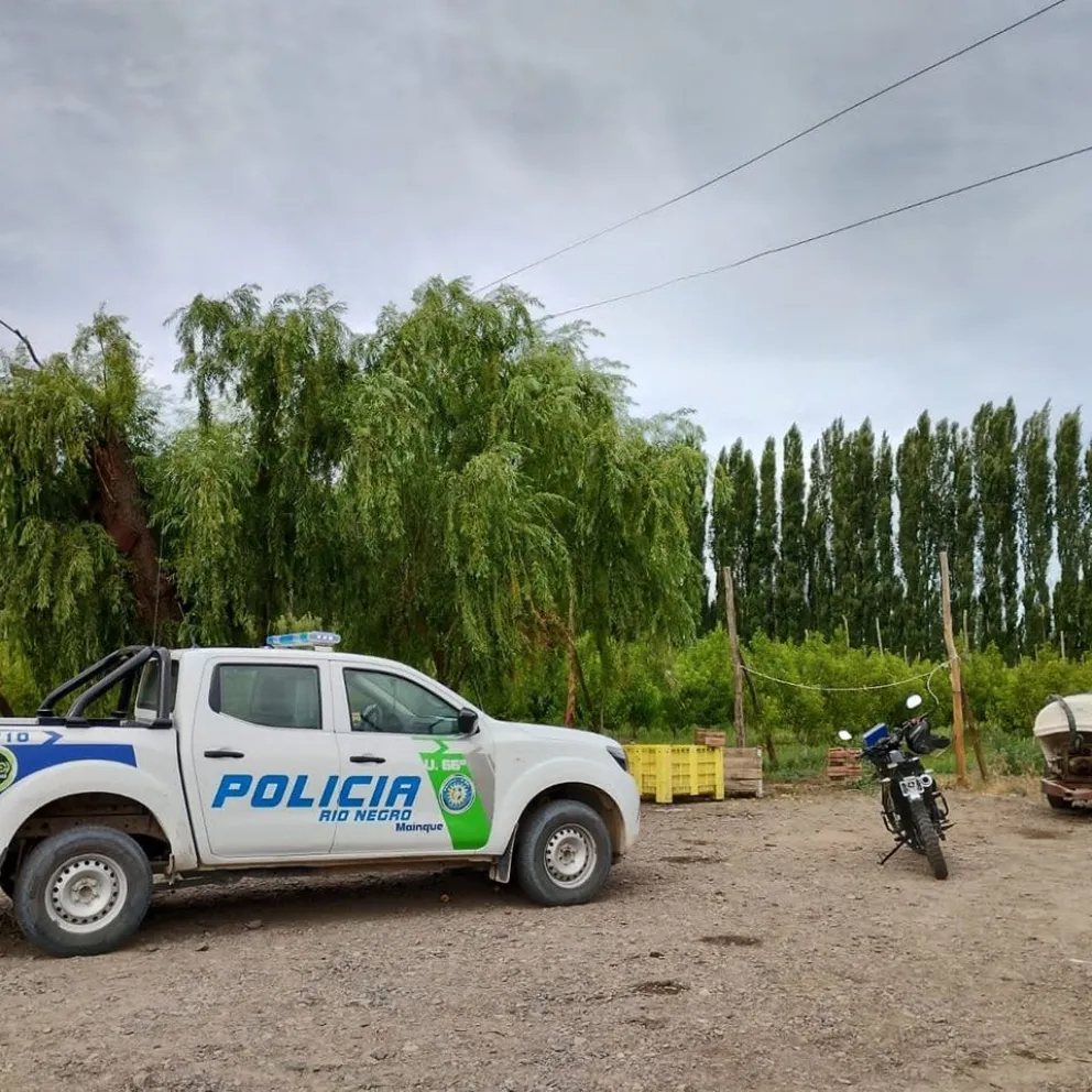 Detienen a dos hombres por robar duraznos de una chacra