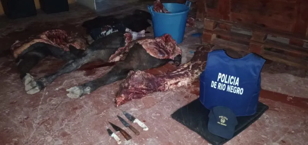 Faena clandestina: detienen a un hombre e incautan carne vacuna en una localidad valletana
