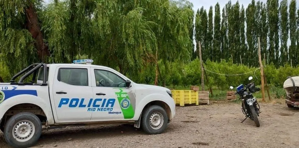 Insólito: Quedaron detenidos tras ser atrapados robando duraznos en una chacra de la región